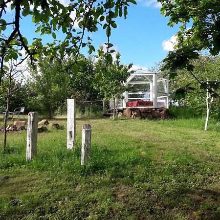 Glashaus Sternblick, Schlafen Unterm Sternenhimmel Neustadt am Kulm Zewnętrze zdjęcie